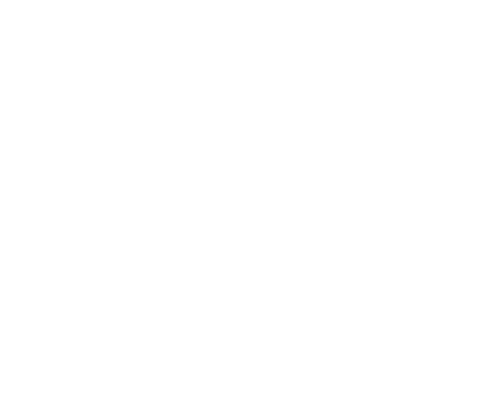 logo2