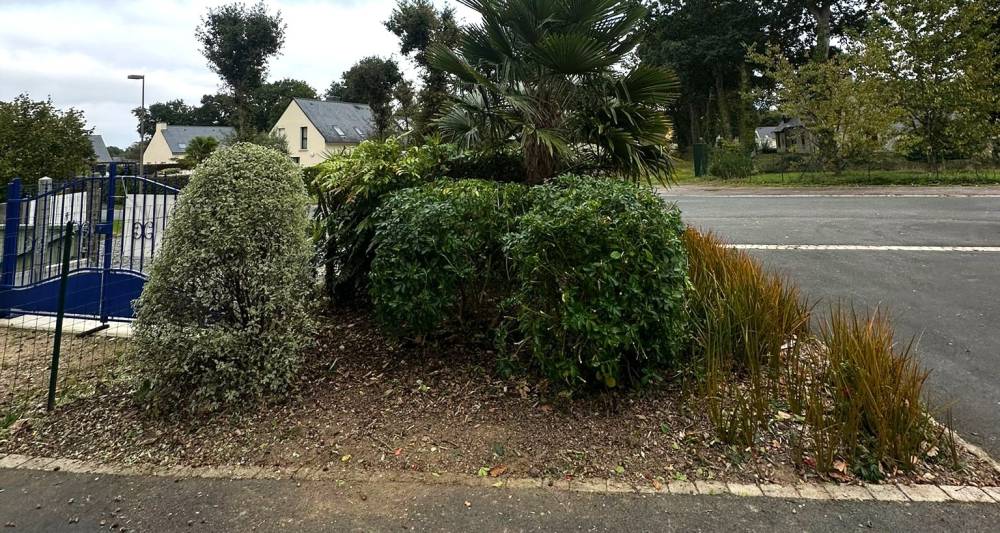 f2c121e4-8778-445f-aa1d-4e0d37c2f3ca