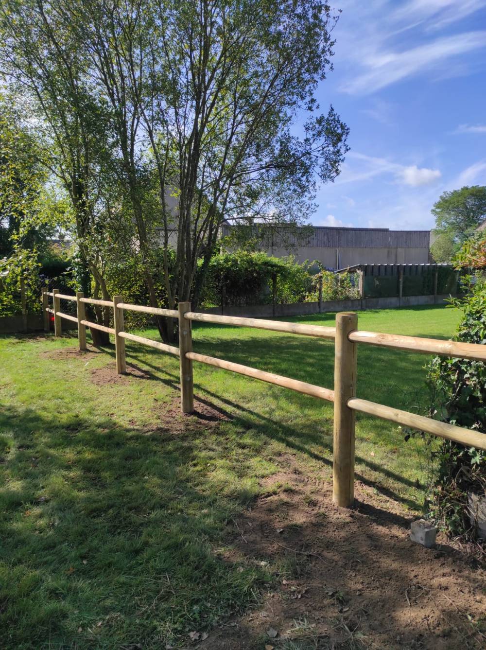 f7e95fac-926f-454a-835a-59cdc49dee7b